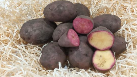 PAPINES ANDINAS X 1 KG. AGROECOLOGICOS KALU VERDE / QUINTA QUIPU DE LOS ANDES)