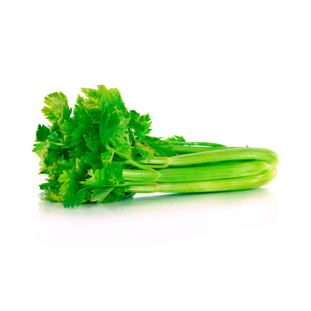 Apio agroecológico