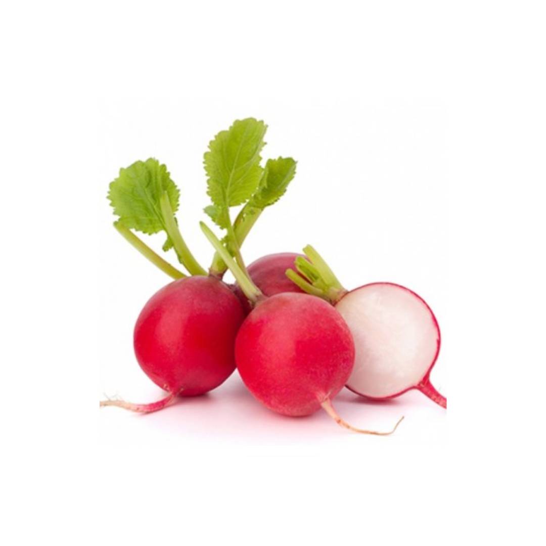 Rabanitos agroecológicos